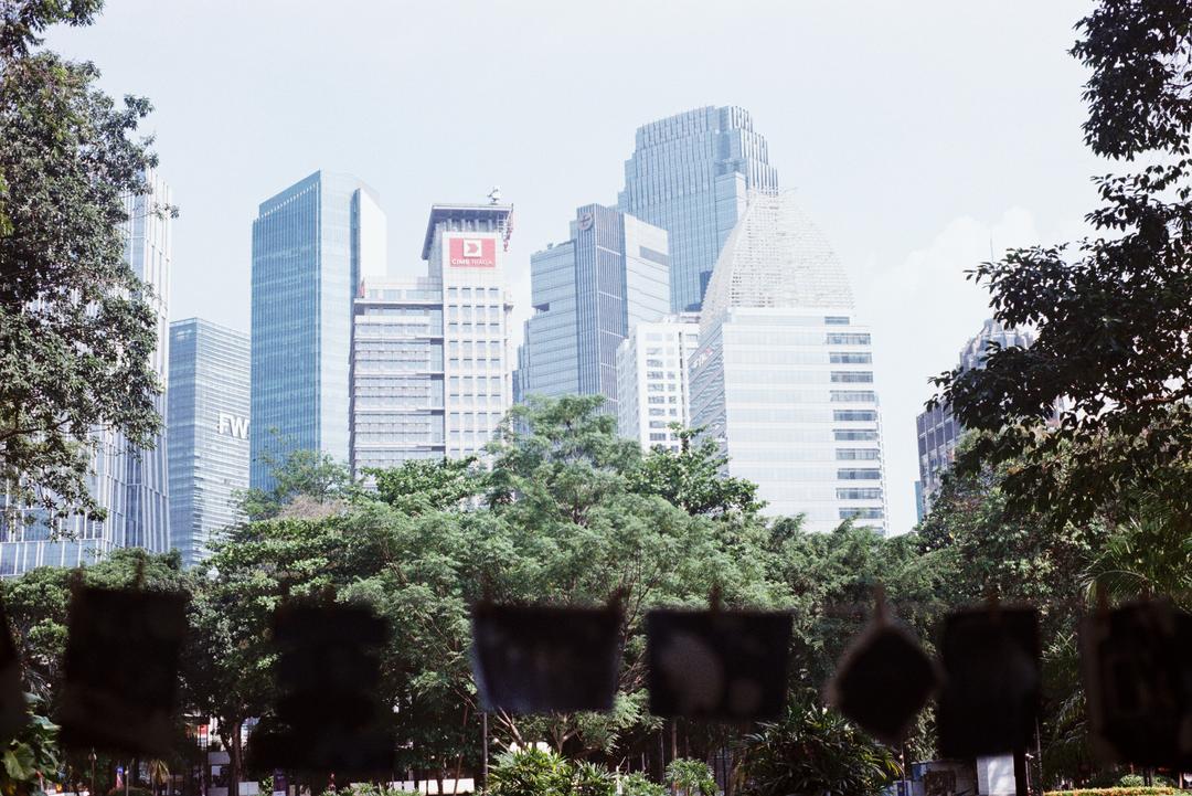Cyanotype di Taman, Jakarta
